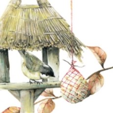 斑馬麥麥 餐巾紙0101-0110 蝶古巴特 拼貼 德國餐巾紙 手作 Decoupage DIY 手工藝材料