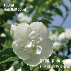 atmosphere 精油擴香瓶, 1個, 朝露茉莉