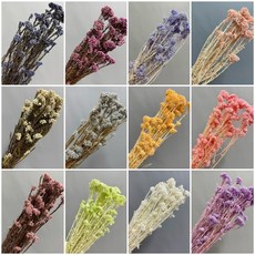 W&T花藝資材 台灣現貨 永生不凋吸色/漂色小米花 乾燥花 永生花 花材, 藍色