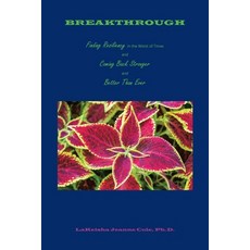(英文圖書) Breakthrough: Finding Resiliency in the Worst of Times and Coming Back Stronger and Better Th... 平裝版, Xlibris Us, 英文