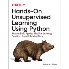 Hands-On Unsupervised Learning Using Python, O'Reilly Media, 英文, 平裝版