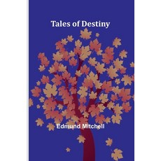 (英文圖書) Tales of Destiny 平裝版, Alpha Edition, 英文