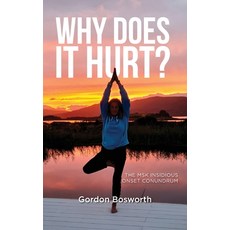 (英文圖書) Why Does It Hurt 精裝版, Gordon Bosworth, 英文
