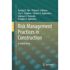 (英文圖書) Risk Management Practices in Construction: A Global View 精裝版, Springer, 英文
