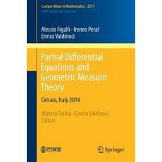 (英文圖書) Partial Differential Equations and Geometric Measure Theory: Cetraro Italy 2014 平裝版, Springer, 英文