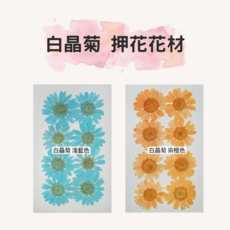白晶菊押花花材 手作裝飾材料, 粉色, 淺藍色, 橙色, 紅色, 黃色, 紫色
