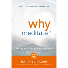 (英文圖書) Why Meditate? 平裝版, Hay House, 英文