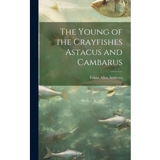 (英文圖書) The Young of the Crayfishes Astacus and Cambarus 精裝版, Legare Street Press, 英文
