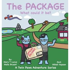 (英文圖書)The Package: What could it be? 精裝版, Lbh Imaginarium, LLC, 英文