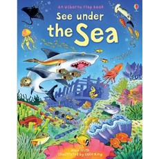 (英文圖書)See Under the Sea Board Books, Usborne Books, 英文, 硬頁書