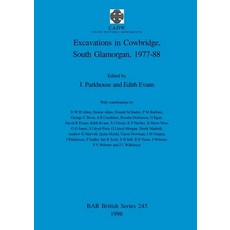 (英文圖書) Excavations in Cowbridge South Glamorgan 1977-1988 平裝版, British Archaeological Repo..., 英文