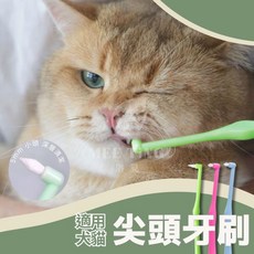 尖頭寵物牙刷, 螢光粉, 螢光綠, 寶藍