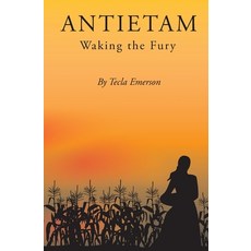 (英文圖書) Antietam: Waking the Fury 平裝版, Outlook Press, 英文