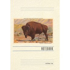 (英文圖書) Vintage Lined Notebook Greetings from Idaho Springs 平裝版, Found Image Press, 英文