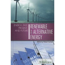 (英文圖書)Renewable and Alternative Energy Library Binding, Rosen Education Service, 英文, 圖書館裝訂