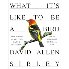 (英文圖書) What It's Like to Be a Bird: From Flying to Nesting Eating to Singing--What Birds Are Doing and Why 精裝版, Knopf Publishing Group, 英文