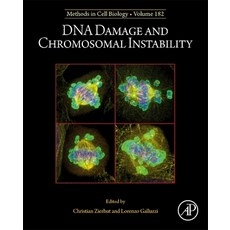 (英文圖書) DNA Damage and Chromosomal Instability: Volume 182 精裝版, Academic Press, 英文