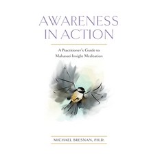 (英文圖書) Awareness in Action: A Practitioner's Guide to Mahasati Insight Meditation 平裝版, Independently Published, 英文