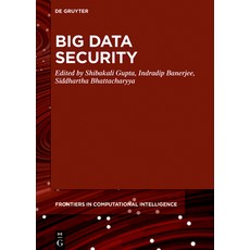 (英文圖書) Big Data Security 精裝版, de Gruyter, 英文