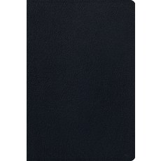 (英文圖書) ESV Men's Study Bible (Genuine Leather Black) Leather, Crossway, 英文, 皮革