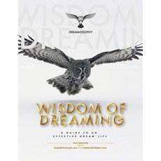 Wisdom of Dreaming: A Guide to an Effective Dream Life 平裝版, Limnosophy, LLC, 英文