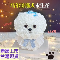 台灣現貨 玫瑰狗狗造型 馬爾濟斯小狗永生花玩偶 畢業禮物 情人節禮物 生日禮物 創意周年禮物, 馬爾濟斯藍色,禮盒+燈條+卡片