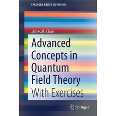 Advanced Concepts in Quantum Field Theory: With Exercises 平裝版, Springer, 英文
