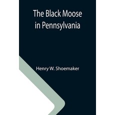 (英文圖書) The Black Moose in Pennsylvania 平裝版, Alpha Edition, 英文