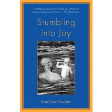 (英文圖書) Stumbling into Joy 平裝版, Satya Media, 英文