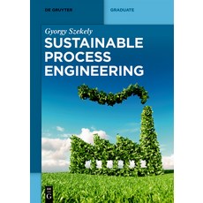 Sustainable Process Engineering 平裝版, de Gruyter, 英語