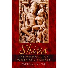 (英文圖書) Shiva: The Wild God of Power and Ecstasy 平裝版, Inner Traditions International, 英文