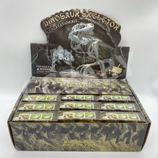 恐龍化石霸王龍骨架模型玩具，手工DIY遊戲，兒童科普考古挖掘玩具，限時優惠, 恐龍《隨機》