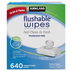 KIRKLAND 科克蘭 濕式可沖馬桶衛生紙 （64抽x10包）, 10套, 1箱
