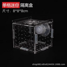 臥水族 壓克力隔離盒 魚缸透明繁殖箱孵化器