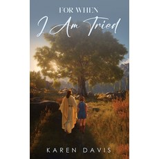 (英文圖書) For When I Am Tried 平裝版, Karen Davis, 英文