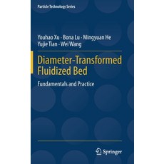 Diameter-Transformed Fluidized Bed: Fundamentals and Practice 精裝版, Springer, 英文