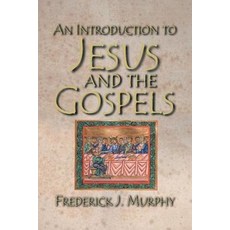 (英文圖書) An Introduction to Jesus and the Gospels 平裝版, Abingdon Press, 英文