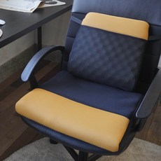 【AC Rabbit】頂級舒壓氣墊腰靠坐墊組 台灣製造 座墊 舒壓 腰靠 靠墊 椅墊 WFH, 香檳