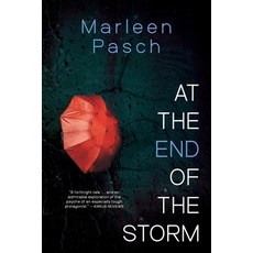 (英文圖書) At The End of The Storm 平裝版, Penmore Press LLC, 英文