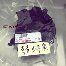 光陽 風葉外蓋 (適用Many/VJR 50/100/110/125/Candy), 黑色