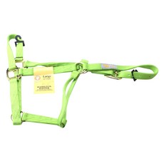 Hamilton Products 軟管吊帶騎行設備 L（僅限 500-725 千克）, 1個, 酸橙