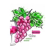 (英文圖書) Natural wine without alcohol: European wine African wine American wine Asian wine 平裝版, Independently Published, 英文