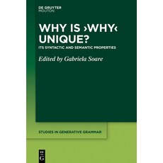 (英文圖書) Why Is 'Why' Unique?: Its Syntactic and Semantic Properties 精裝版, Walter de Gruyter, 英文