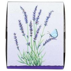 field DAY 2 層面巾紙, 85張, 1盒