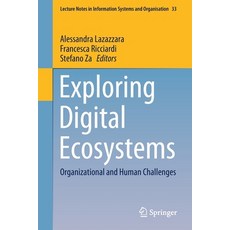 (英文圖書) Exploring Digital Ecosystems: Organizational and Human Challenges 平裝版, Springer, 英文
