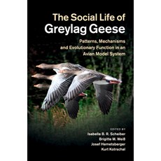 (英文圖書) The Social Life of Greylag Geese 平裝版, Cambridge University Press, 英文