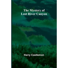 (英文圖書)The Mystery of Lost River Canyon 平裝版, Alpha Edition, 英文