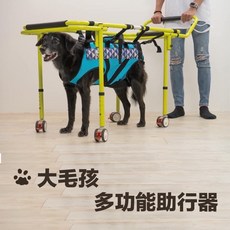 宏康醫療器材 大毛孩多功能犬用助行器，大型犬適用，行動輔助，關節減壓，可調節高度, 黃色和藍色