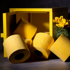 Renova 滾筒式檀香彩色卷紙 黃色純色 （6入）, 1串, 6捲, 1610cm