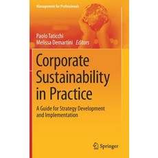 Corporate Sustainability in Practice: A Guide for Strategy Development and Implementation 精裝版, Springer, 英文